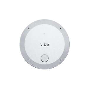 Vibe Dot's pic