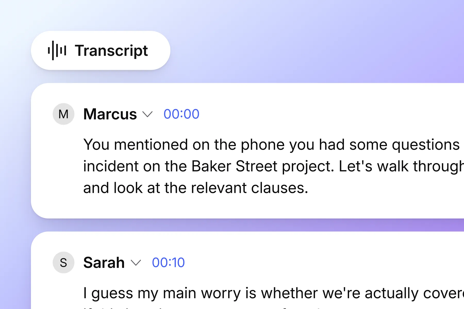 Vibe AI meeting transcript by speaker