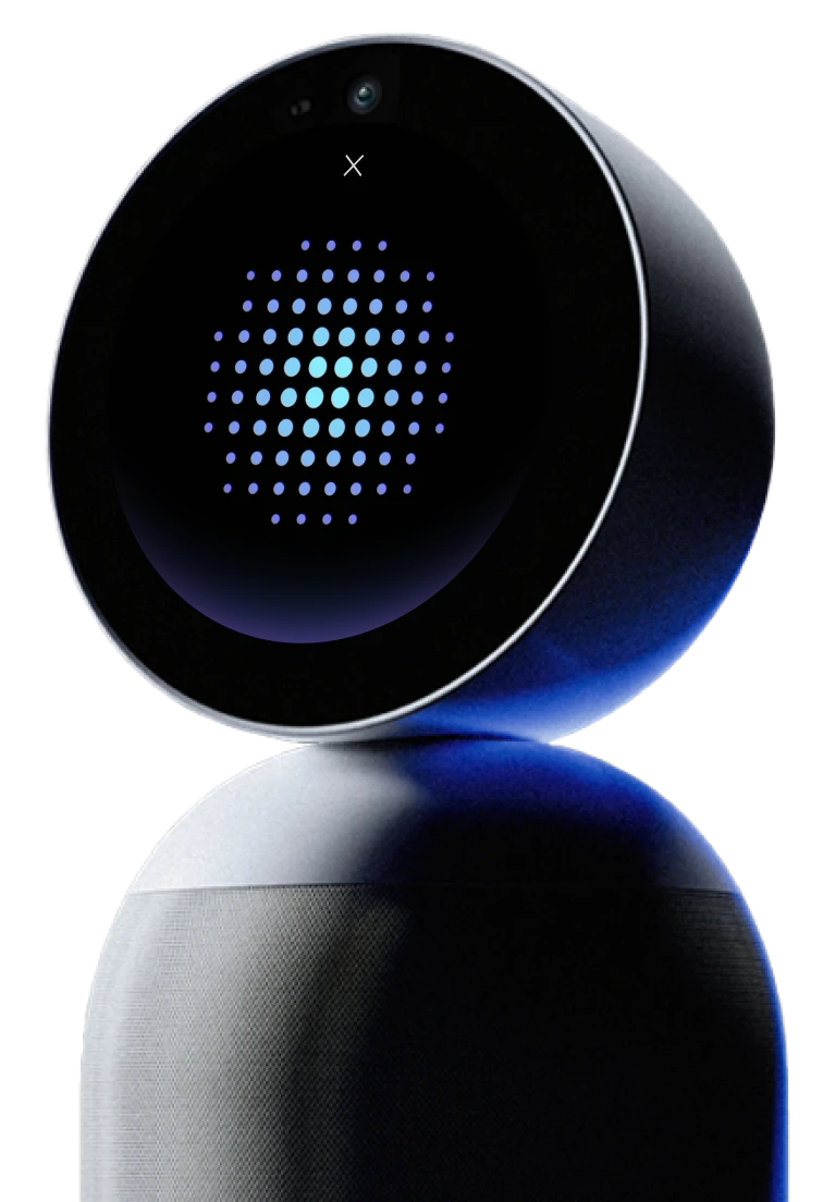 Vibe Bot conference camera